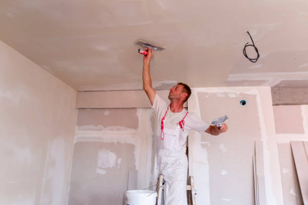 Best Drywall Installation  in Mckinney, TX